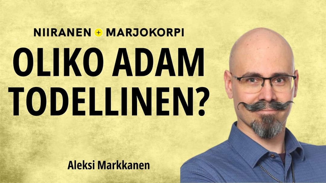 Videon Luominen ja evoluutio ei ole yksi kysymys, vaan monta | Niiranen & Marjokorpi | 114 kansikuva